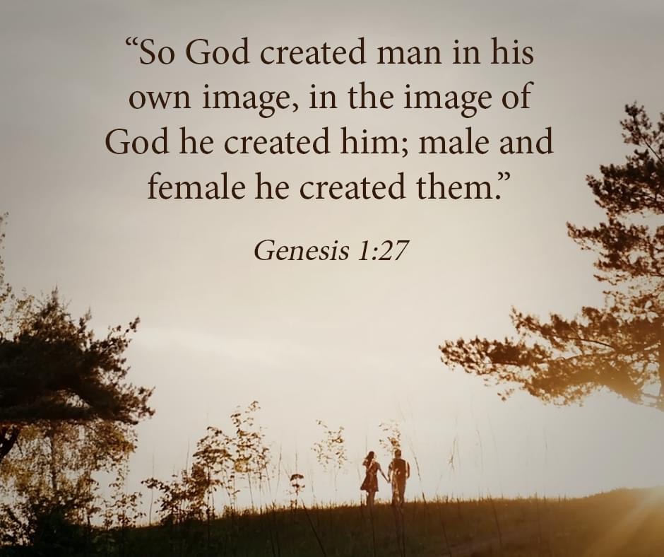 EBC-Verse Genesis 1:27 "...he created them."